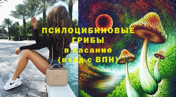 ECSTASY Абаза
