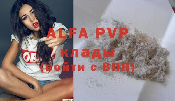 ECSTASY Абаза