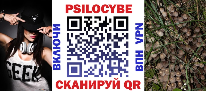 Псилоцибиновые грибы Cubensis Железноводск